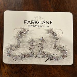 Park Lane Lust Earrings!